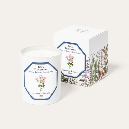 Carriere Freres - Candle - Damask Rose
