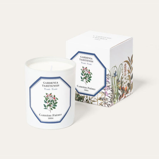 Carriere Freres - Candle - Gardenia Tahitensis Tiare